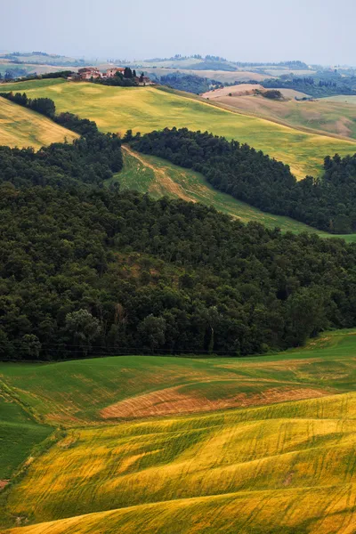 Landschappelijk uitzicht op het typische Toscaanse landschap, Italië — Stockfoto