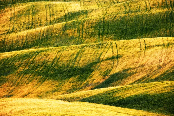 Живописный вид на типичный тосканский ландшафт, Италия — стоковое фото