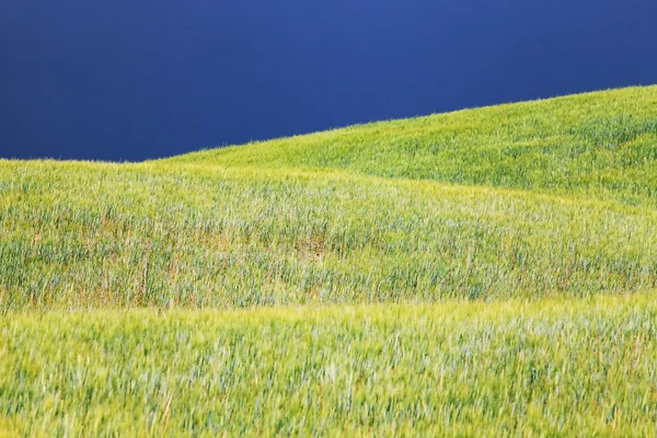 Vista panorámica del paisaje típico de la Toscana, Italia — Foto de Stock