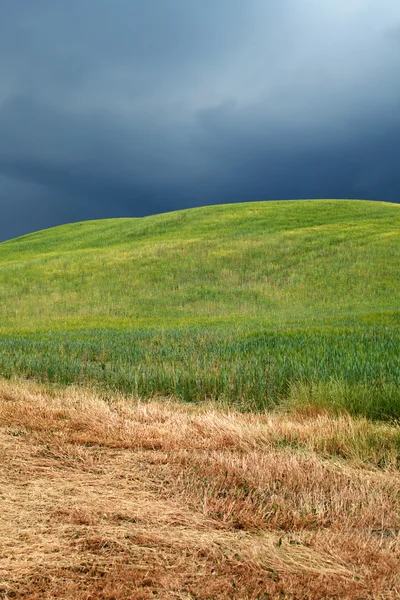 Vista panorámica del paisaje típico de la Toscana, Italia —  Fotos de Stock