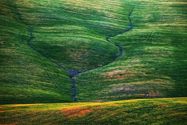 Живописный вид на типичный тосканский ландшафт, Италия — стоковое фото