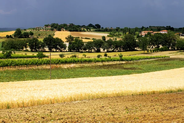 Scenic view of typical Tuscany landscape, Italy — Stock Photo, Image