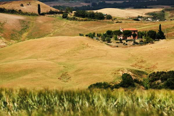 Szenische Ansicht der typischen Landschaft der Toskana, Italien — Stockfoto