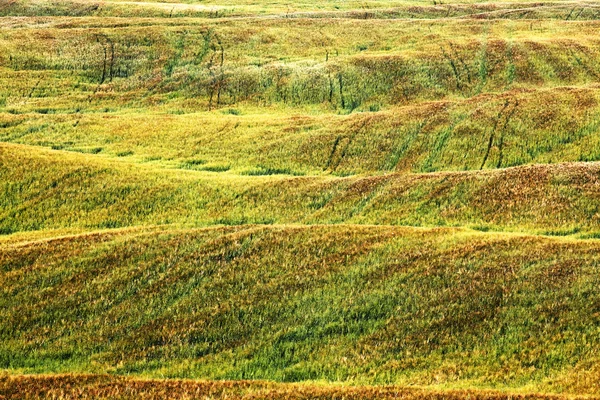 Vista panorámica del paisaje típico de la Toscana, Italia — Foto de Stock