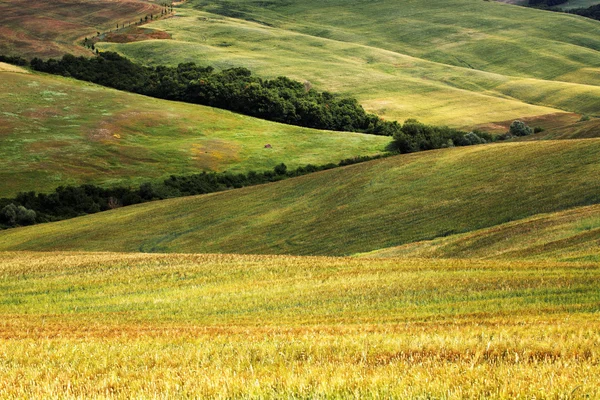 Vista panorámica del paisaje típico de la Toscana, Italia —  Fotos de Stock