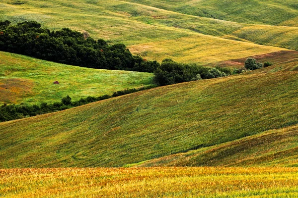 Сценічний вигляд типового ландшафту Тоскани (Італія). — стокове фото