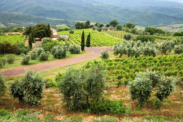 Vista panorámica del paisaje típico de la Toscana, Italia — Foto de Stock