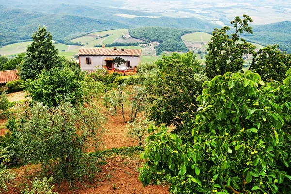Obstgarten in der Toskana, Italien — Stockfoto