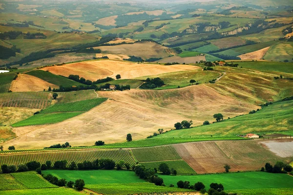 Vista panorámica del paisaje típico de la Toscana, Italia — Foto de Stock