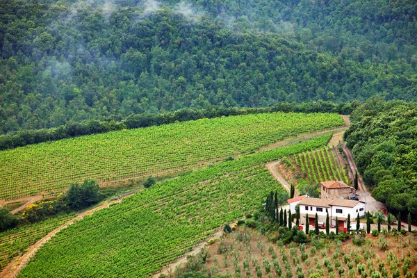 Vista panorámica del paisaje típico de la Toscana, Italia — Foto de Stock