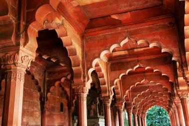Delhi, Hindistan lal qila - kırmızı kale mimari detay