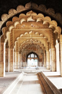 Delhi, Hindistan lal qila - kırmızı kale mimari detay