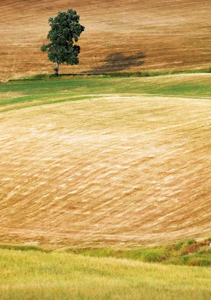 Vista panorámica del paisaje típico de la Toscana, Italia — Foto de Stock