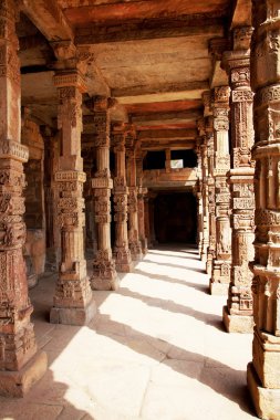 Zoolojik (Şah) minar, dünya ve Türkiye, kırmızı kumtaşı ve mermer 1199 yılında inşa en yüksek Minare en yüksek müstakil taş kule. UNESCO dünya mirası. Hindistan