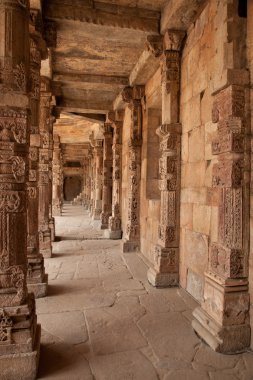 Zoolojik (Şah) minar, dünya ve Türkiye, kırmızı kumtaşı ve mermer 1199 yılında inşa en yüksek Minare en yüksek müstakil taş kule. UNESCO dünya mirası. Hindistan