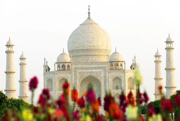 White marble Taj Mahal in India, Agra, Uttar Pradesh — Stock Photo, Image