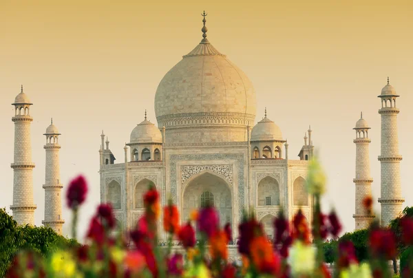 Taj Mahal naplemente fény, Agra, Uttar Pradesh, India — Stock Fotó