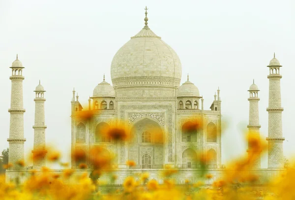 Taj Mahal au coucher du soleil, Agra, Uttar Pradesh, Inde — Photo