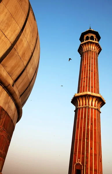 Mimari detay jama masjid Camisi, eski delhi, Hindistan — Stok fotoğraf