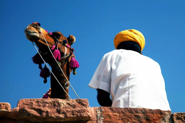 Camel em Jaigarh Fort em Jaipur, Rajasthan, Índia — Fotografia de Stock