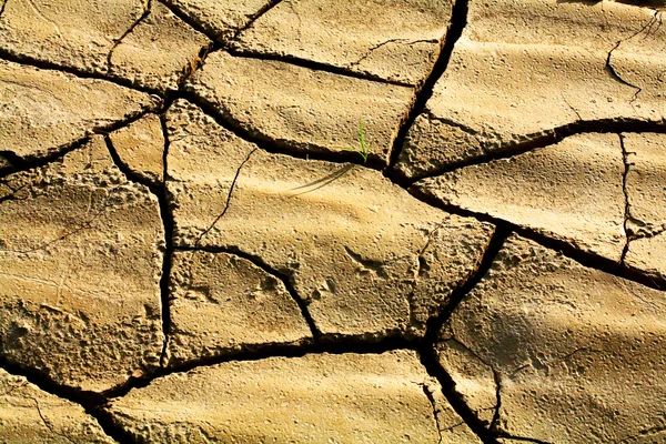 Dry land pattern — Stock Photo, Image