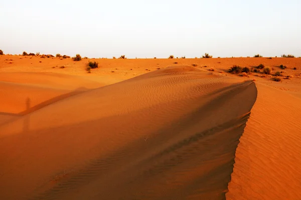 Modèle abstrait de sable dans le désert de Thar, Inde — Photo