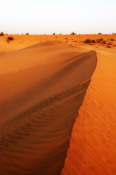Padrão de areia abstrato no deserto de Thar, Índia — Fotografia de Stock