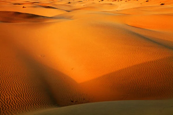 Padrão de areia abstrato no deserto de Thar, Índia — Fotografia de Stock