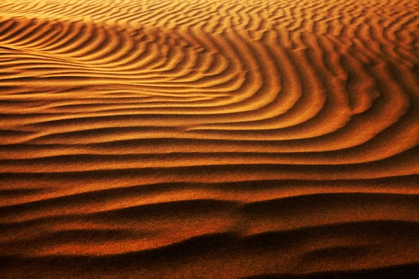 Abstract sand pattern in Thar Desert, India — Stock Photo, Image