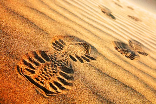 Abstrakt sand mönster i Thar, Indien — Stockfoto