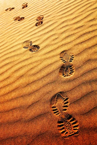 Abstraktes Sandmuster in der Wüste Thar, Indien — Stockfoto