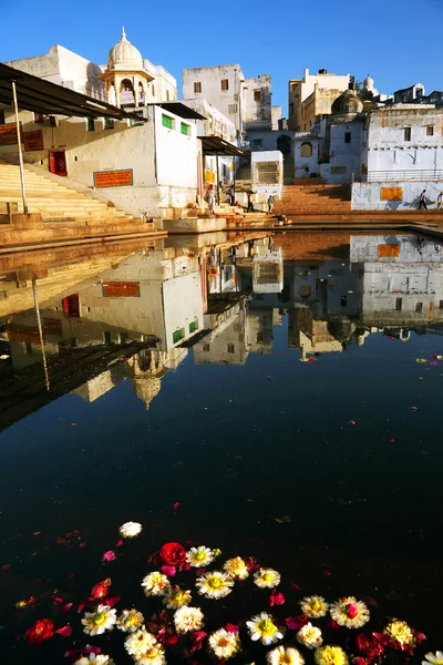 Pushkar, rajasthan, indien — Stockfoto