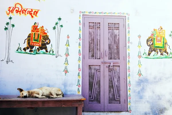 Pushkar, Rajasthan, India — Foto Stock