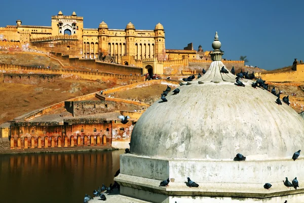 Jantarová pevnost v Jaipuru, rajasthan, Indie — Stock fotografie