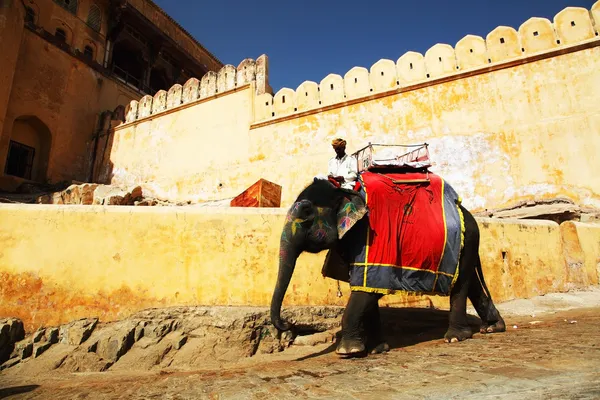 装饰在斋浦尔，印度每年大象节大象 — 图库照片