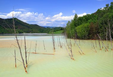 doğa kirliliği bir bakır maden sömürü