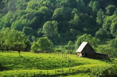 occidental Karpatlar, Romanya, Avrupa eski köy evi