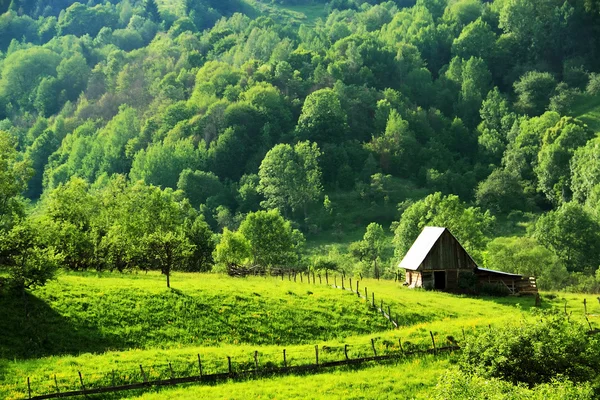 Occidental Karpatlar, Romanya, Avrupa eski köy evi — Stok fotoğraf