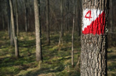 Endüstriyel ormansızlaşma