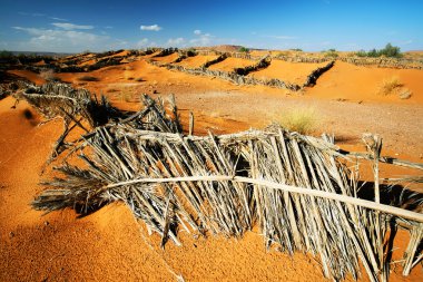 Sand fences in Sahara Desert, Africa
