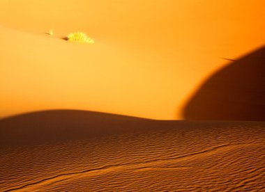 Sahara çöl manzarası