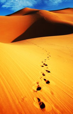 Sahara çöl manzarası