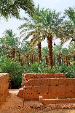 Fas kasbah, Afrika