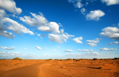 Sahara çöl manzarası