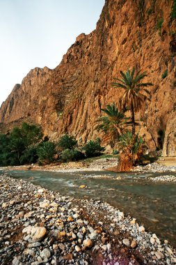 todra gorges atlas Dağları, Fas, Afrika