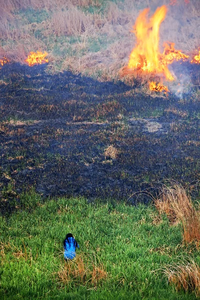 Fuego en la madera — Foto de Stock