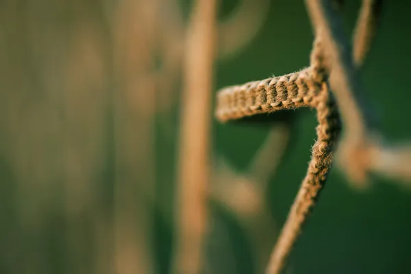 Tekstil perde çit — Stok fotoğraf