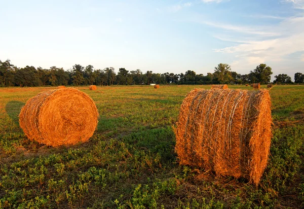 Baal hooi op een landelijk gebied — Stockfoto