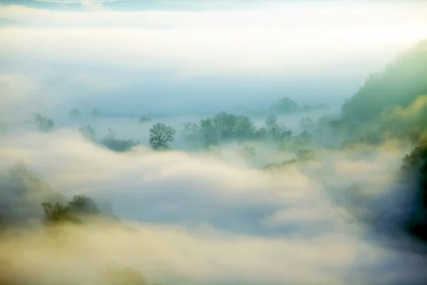 多雾的风景 — 图库照片