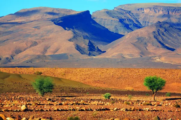 Camping in the Desert - Akakus (Acacus) Mountains, Sahara, Libya — Stock Photo, Image